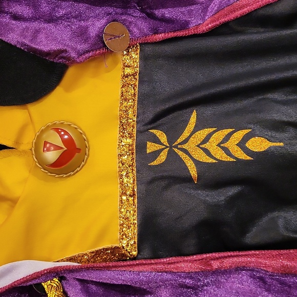 NWT Disney Frozen II Anna Costume 3T/4T - Picture 7 of 13